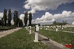 Sochaczew - Trojan�w, cmentarz wojenny (fot. �. Wojtczak)
