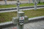 Dobrzyk�w, kwatera wojenna. Stan z lipca 2009 r. (fot. Krzysztof Zadro�ny / www.tradytor.pl).