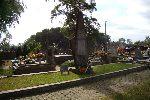 Czermno, mogi�a zbiorowa. Stan z dn. 10. 09. 2011 r. (fot. Krzysztof Zadro�ny / www.tradytor.pl).