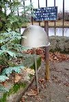�leszyn, mogi�a zbiorowa. Stan z kwietnia 2010 r. (fot. Krzysztof Zadro�ny / www.tradytor.pl).