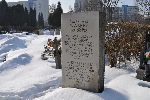 Warszawa, ul. Wa�brzyska, kwatera wojenna. Stan z dn. 21. 02. 2010 r. (fot. Krzysztof Bielawski - www.kirkuty.xip.pl).
