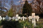 Stare Babice, ul. W�. Sikorskiego, cmentarz wojenny (fot. K. Bielawski / "Wirtualny Sztetl" - www.sztetl.org.pl).