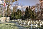 Stare Babice, ul. W�. Sikorskiego, cmentarz wojenny (fot. K. Bielawski / "Wirtualny Sztetl" - www.sztetl.org.pl).