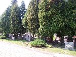 ��d�, ul. Kurczaki, mogi�a zbiorowa. Stan z dn. 27. 08. 2011 r. (fot. Zbigniew Adamas).