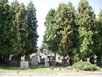 ��d�, ul. Kurczaki, mogi�a zbiorowa. Stan z dn. 27. 08. 2011 r. (fot. Zbigniew Adamas).
