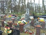 Puszcza Maria�ska, mogi�a zbiorowa. Stan z dn. 17. 11. 2013 r. (fot. Jacek Kaczorowski).