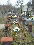 Puszcza Maria�ska, mogi�a zbiorowa. Stan z dn. 17. 11. 2013 r. (fot. Jacek Kaczorowski).