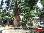 Grodzisk Mazowiecki, ul. Rado�ska, mogi�a zbiorowa. Stan z dn. 17. 08. 2011 r. (fot. Tomasz Karolak).