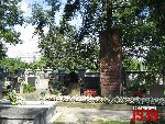 Grodzisk Mazowiecki, ul. Rado�ska, mogi�a zbiorowa. Stan z dn. 17. 08. 2011 r. (fot. Tomasz Karolak).