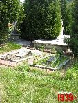 S�upia, mogi�a zbiorowa. Stan z dn. 25. 06. 2011 r. (fot. Tomasz Karolak).