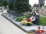 Lipce Reymontowskie, mogi�a zbiorowa. Stan z dn. 25. 06. 2011 r. (fot. Tomasz Karolak).