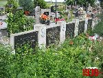 Niebor�w, mogi�a zbiorowa. Stan z dn. 25. 06. 2011 r. (fot. Tomasz Karolak).