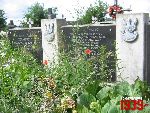 Niebor�w, mogi�a zbiorowa. Stan z dn. 25. 06. 2011 r. (fot. Tomasz Karolak).