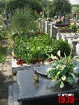 Niebor�w, mogi�a zbiorowa. Stan z dn. 25. 06. 2011 r. (fot. Tomasz Karolak).