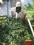 Sochaczew, ul. Traugutta, mogi�a indywidualna (1). Stan z dn. 06. 09. 2011 r. (fot. Tomasz Karolak).