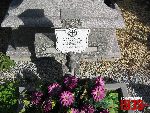Sochaczew, ul. Traugutta, mogi�a zbiorowa. Stan z dn. 09. 09. 2011 r. (fot. Tomasz Karolak).