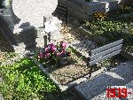 Sochaczew, ul. Traugutta, mogi�a zbiorowa. Stan z dn. 09. 09. 2011 r. (fot. Tomasz Karolak).