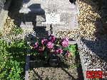 Sochaczew, ul. Traugutta, mogi�a zbiorowa. Stan z dn. 09. 09. 2011 r. (fot. Tomasz Karolak).
