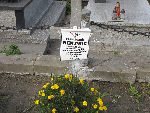 Opor�w, gr�b rodzinny (1). Stan z dn. 26. 09. 2010 r. (fot. Alfred Nowi�ski).