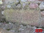 Dobrzyk�w, mogi�a zbiorowa. Stan z dn. 16. 10. 2011 r. (fot. Tomasz Karolak).