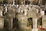 Warszawa, u. Pow�zkowska, Cmentarz Wojskowy (fot. �. Wojtczak)