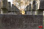 Warszawa, u. Pow�zkowska, Cmentarz Wojskowy (fot. �. Wojtczak)