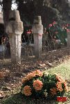 Warszawa, u. Pow�zkowska, Cmentarz Wojskowy (fot. �. Wojtczak)