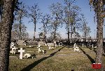 Kocierzew Po�udniowy, kwatera wojenna. Stan z dn. 31 pa�dziernika 2010 r. (fot. �ukasz Wojtczak).
