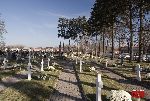 Kocierzew Po�udniowy, kwatera wojenna. Stan z dn. 31 pa�dziernika 2010 r. (fot. �ukasz Wojtczak).