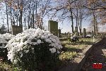 Kompina, cmentarz wojenny (fot. �. Wojtczak)