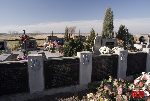 Niebor�w, mogi�a zbiorowa. Stan z dn. 31. 10. 2010 r. (fot. �ukasz Wojtczak).