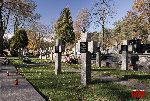 Domaniewice, kwatera wojenna (fot. �. Wojtczak)