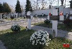 Zduny, kwatera wojenna (fot. �. Wojtczak)