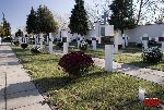 Zduny, kwatera wojenna (fot. �. Wojtczak)