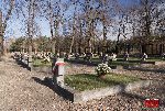�owicz, ul. Listopadowa, cmentarz wojenny (fot. �. Wojtczak)