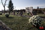 �owicz, ul. Listopadowa, cmentarz wojenny (fot. �. Wojtczak)