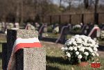�owicz, ul. Listopadowa, cmentarz wojenny (fot. �. Wojtczak)