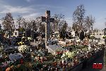 �owicz, ul. Mickiewicza, mogi�y zbiorowe (fot. �. Wojtczak)