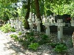 Milan�wek, ul. Wojska Polskiego, kwatera wojenna. Stan z dn. 17. 05. 2013 r. (fot. Jacek Kaczorowski).