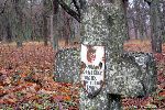 Nowy Dw�r Mazowiecki, ul. Obwodowa, mogi�a zbiorowa. Stan z dn. 4 grudnia 2011 r. (fot. Tomasz Kuran).
