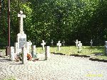 Rydwan (Gu�nia), cmentarz wojenny. Stan z 2007 r. (fot. W. Rapsiewicz)