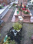 Juliopol, mogi�a indywidualna. Stan z dn. 03. 01. 2014 r. (fot. Andrzej Kornacki).