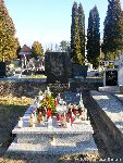 Chojnata, mogi�a zbiorowa. Stan z dn. 01. 01. 2016 r. (fot. Tomasz Kuran).