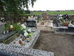 Bedlno, mogi�y indywidualne. Stan z dn. 18. 09. 2013 r. (fot. Witold Rapsiewicz).