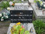 Bedlno, mogi�y indywidualne. Stan z dn. 18. 09. 2013 r. (fot. Witold Rapsiewicz).