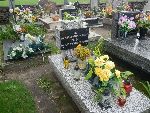 Bedlno, mogi�y indywidualne. Stan z dn. 18. 09. 2013 r. (fot. Witold Rapsiewicz).