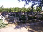 Bielawy, kwatera wojenna. Stan z dn. 18.08.2012 r. (fot. B�a�ej Kucharski)