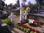 B�k�w G�rny, mogi�a zbiorowa. Stan z dn. 05. 09. 2012 r. (fot. B�a�ej Kucharski).