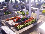 B�k�w G�rny, mogi�a zbiorowa. Stan z dn. 05. 09. 2012 r. (fot. B�a�ej Kucharski).