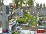 Plecka D�browa, mogi�y zbiorowe. Stan z dn. 26. 08. 2011 r. (fot. Tomasz Karolak).